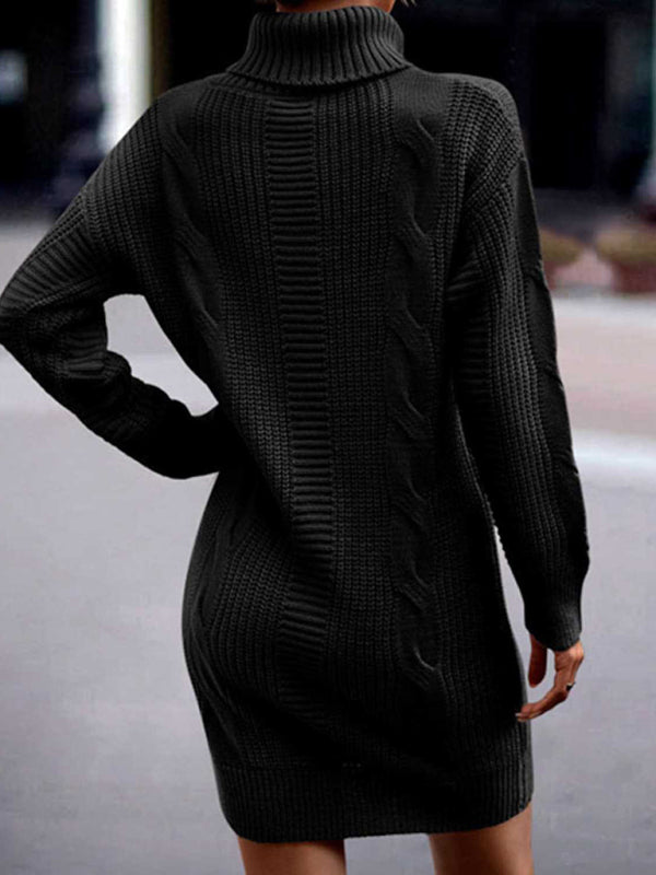 Clara Women's Mid-Length Turtleneck Long Sleeve Sweater Dress