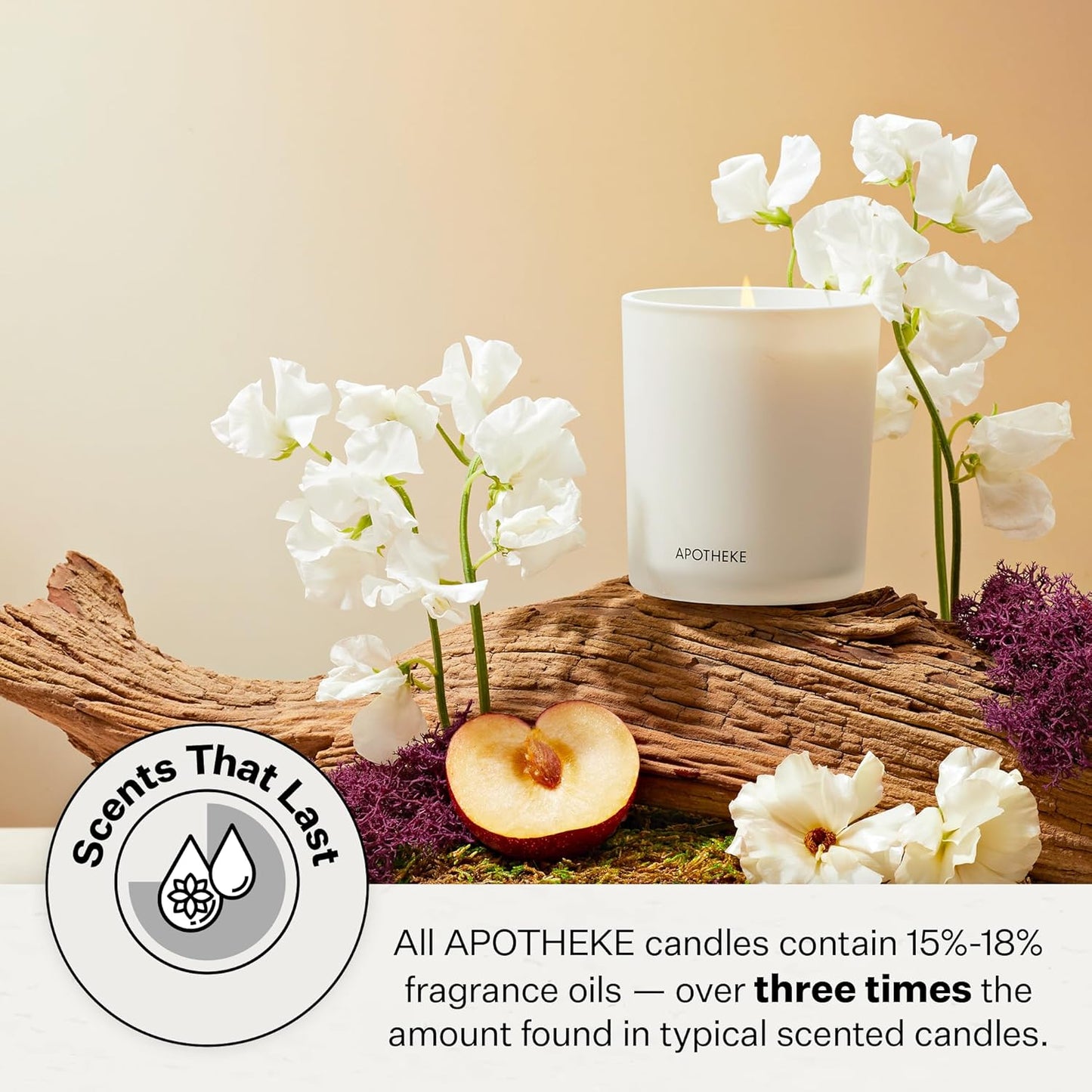 Signature Scented Candles for Home, White Vetiver - 10.5 Oz - Soy Wax, Non Toxic, Large Jar White - Luxury Candle Gifts for Women & Men - Sandalwood, Eucalyptus, and Vetiver