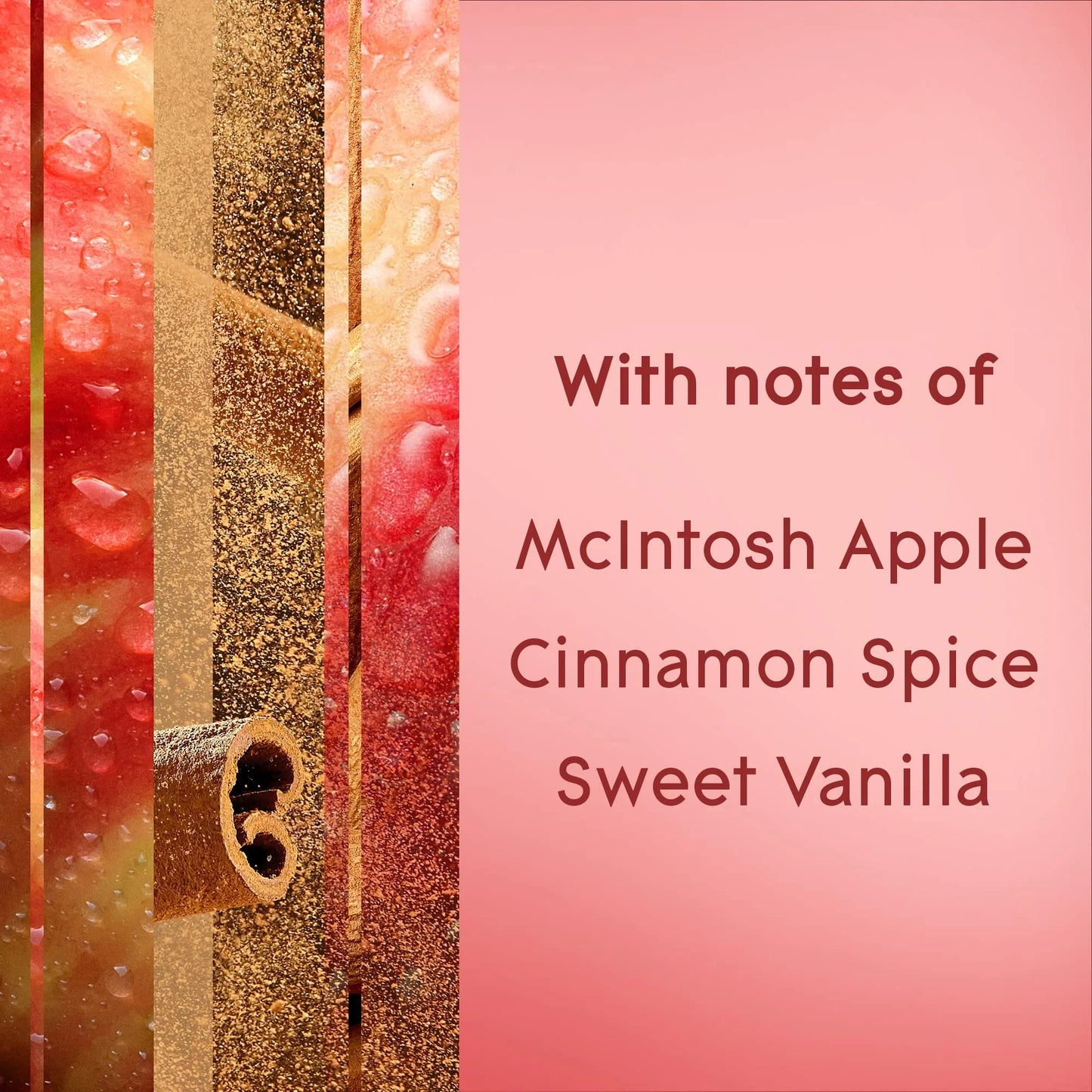 Air Freshener Room Spray Apple Cinnamon 8.3 Oz (Pack of 6)