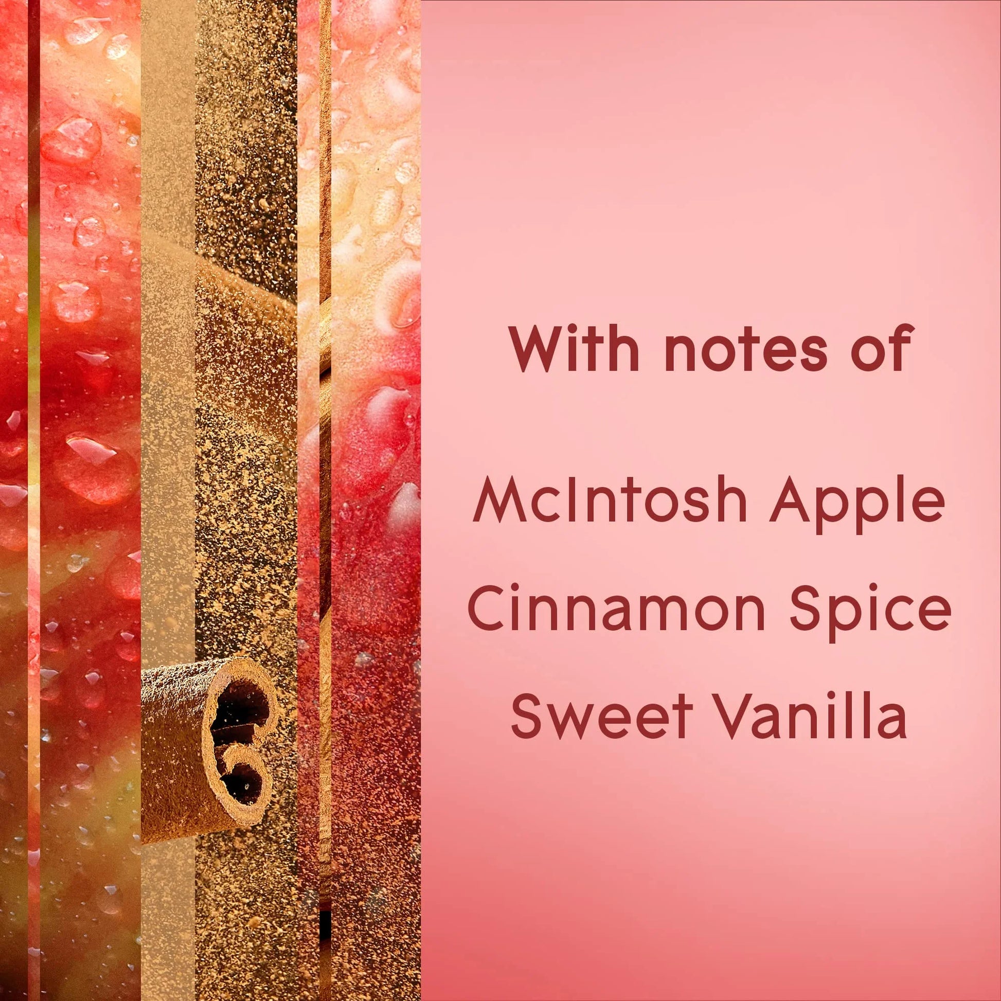 Air Freshener Room Spray Apple Cinnamon 8.3 Oz (Pack of 6)