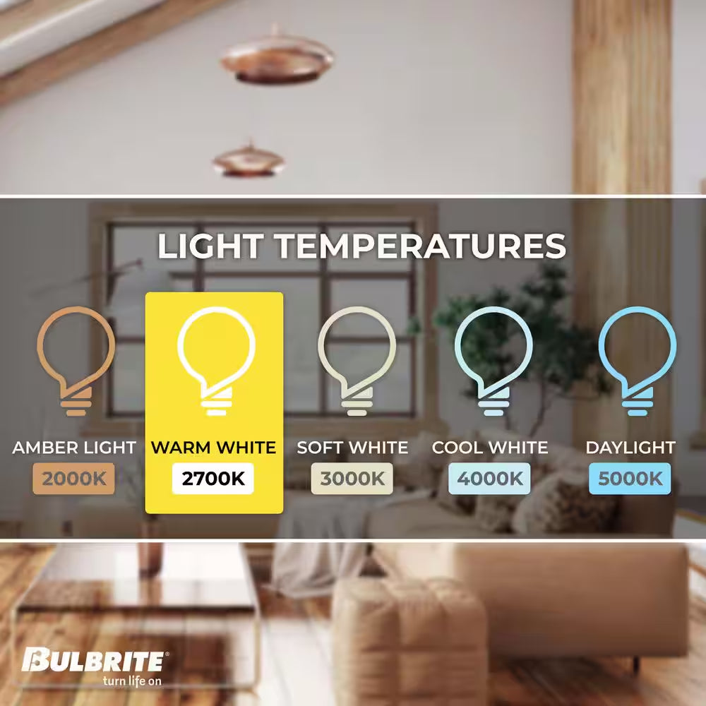 60-Watt Equivalent G40 Clear Dimmable Edison LED Light Bulb Warm White (2-Pack)