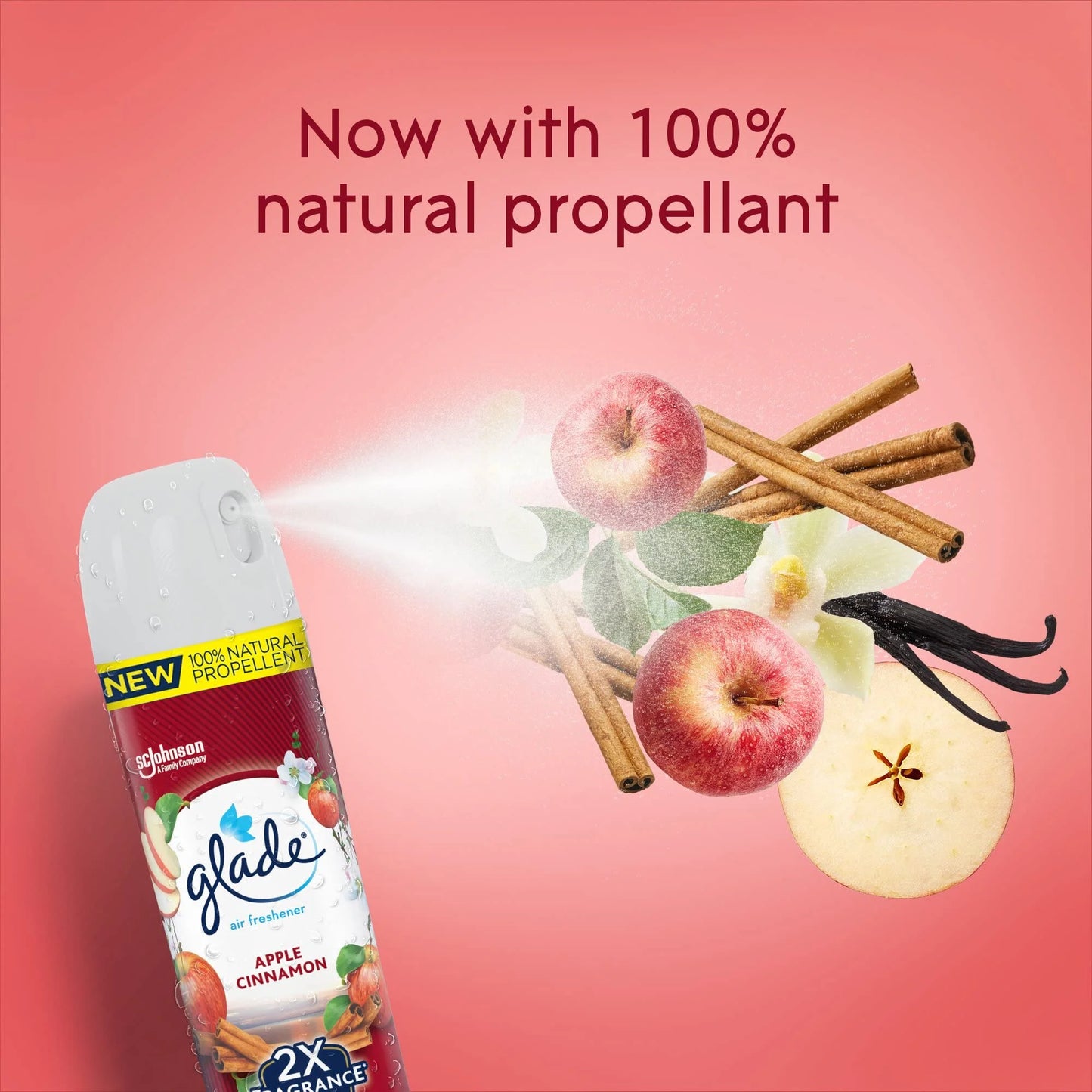 Air Freshener Room Spray Apple Cinnamon 8.3 Oz (Pack of 6)