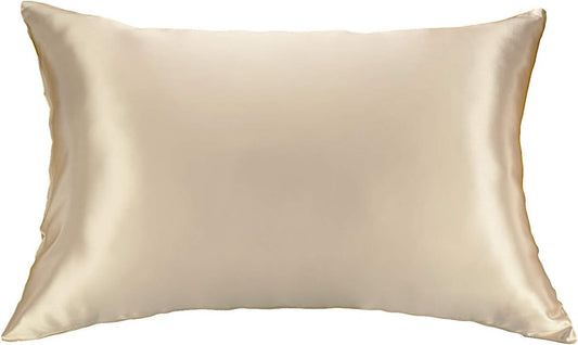 100% Silk Pillowcase for Hair Zippered Luxury 25 Momme Mulberry Silk Charmeuse Silk on Both Sides of Pillow Cover -Gift Wrapped- (Queen, Taupe)